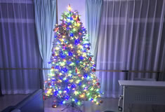 クリスマスツリー